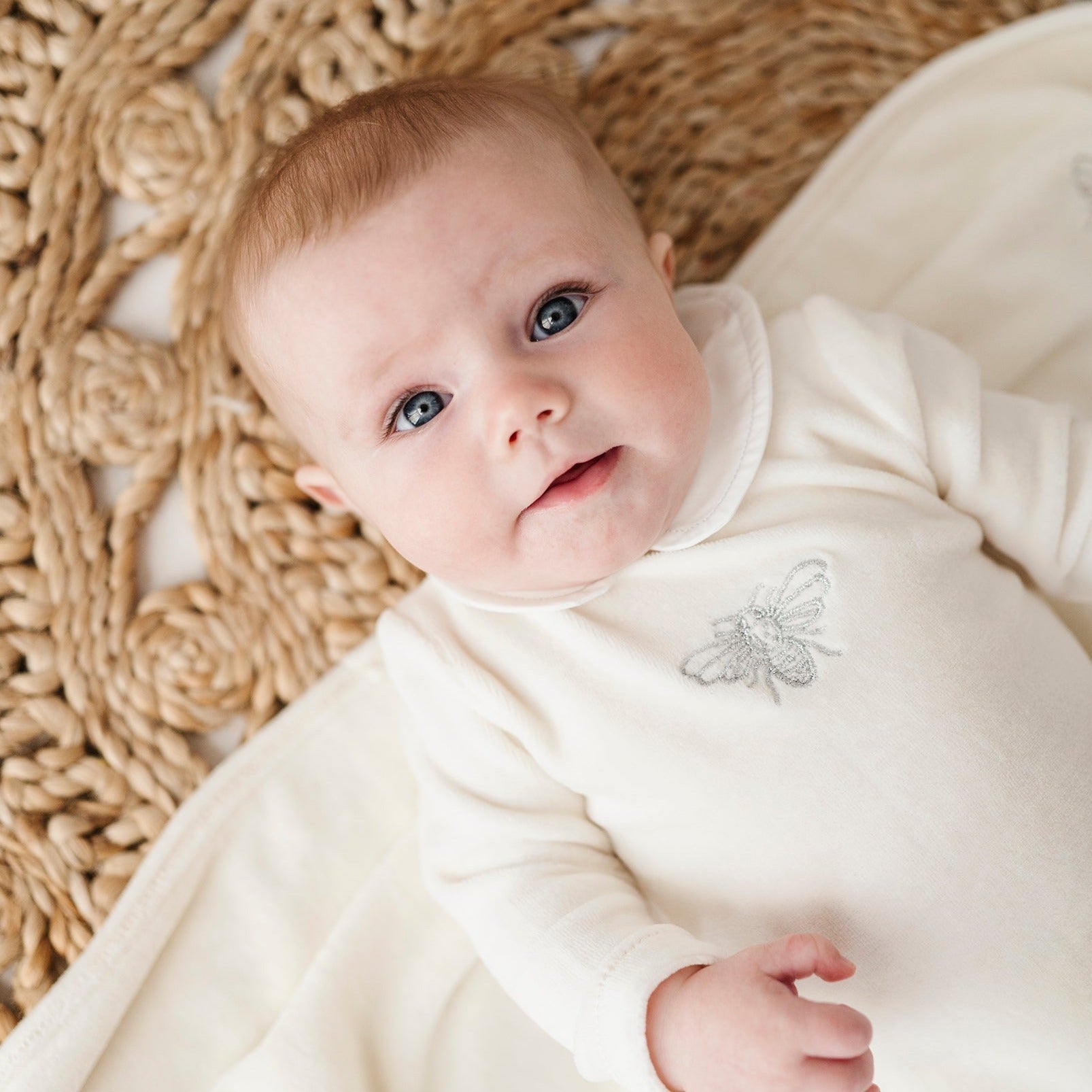 Velour Embroidered - Metallic Bee Collection -Blanket