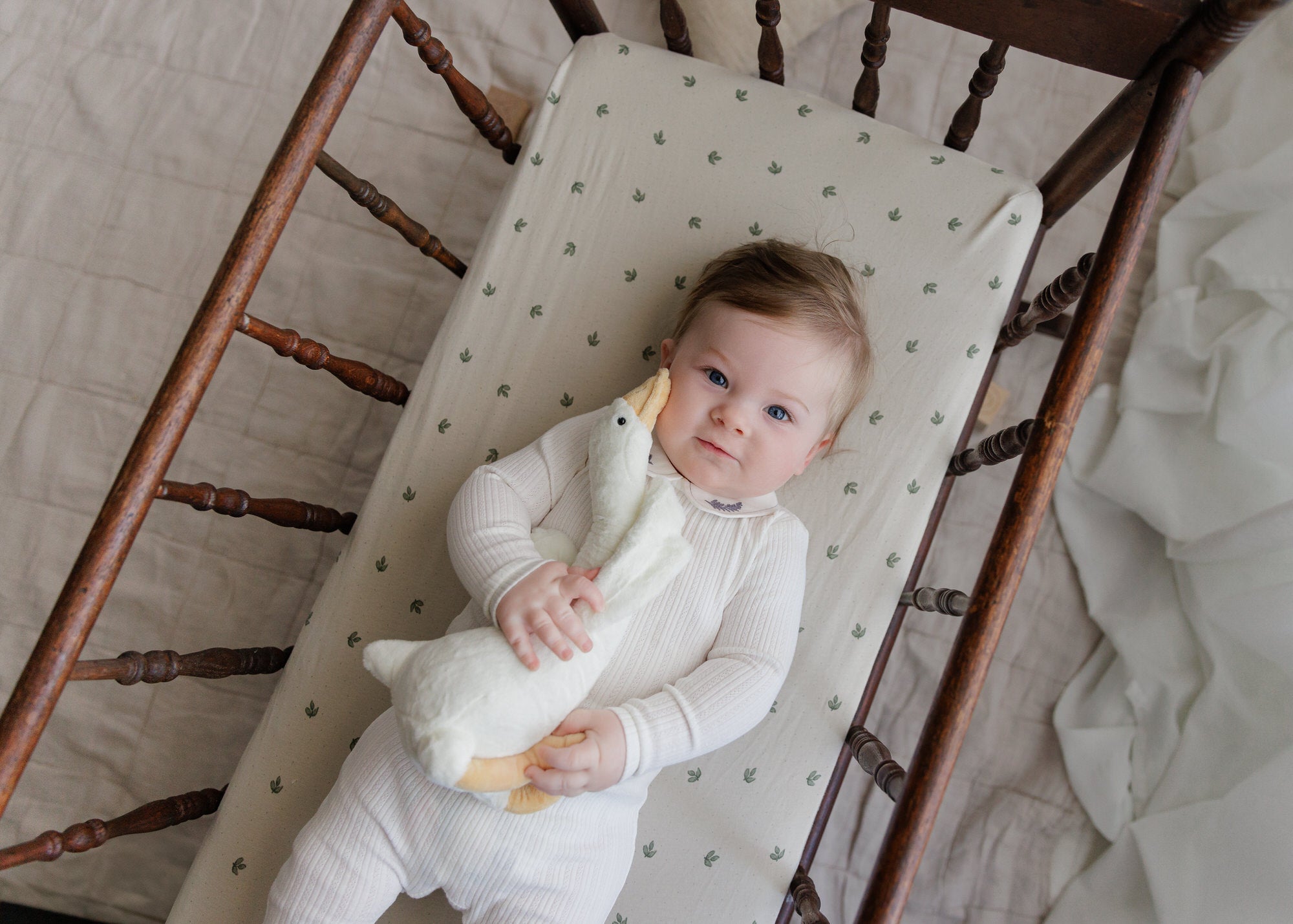 Organic Cotton Embroidered Collar Collection - Paci Clip