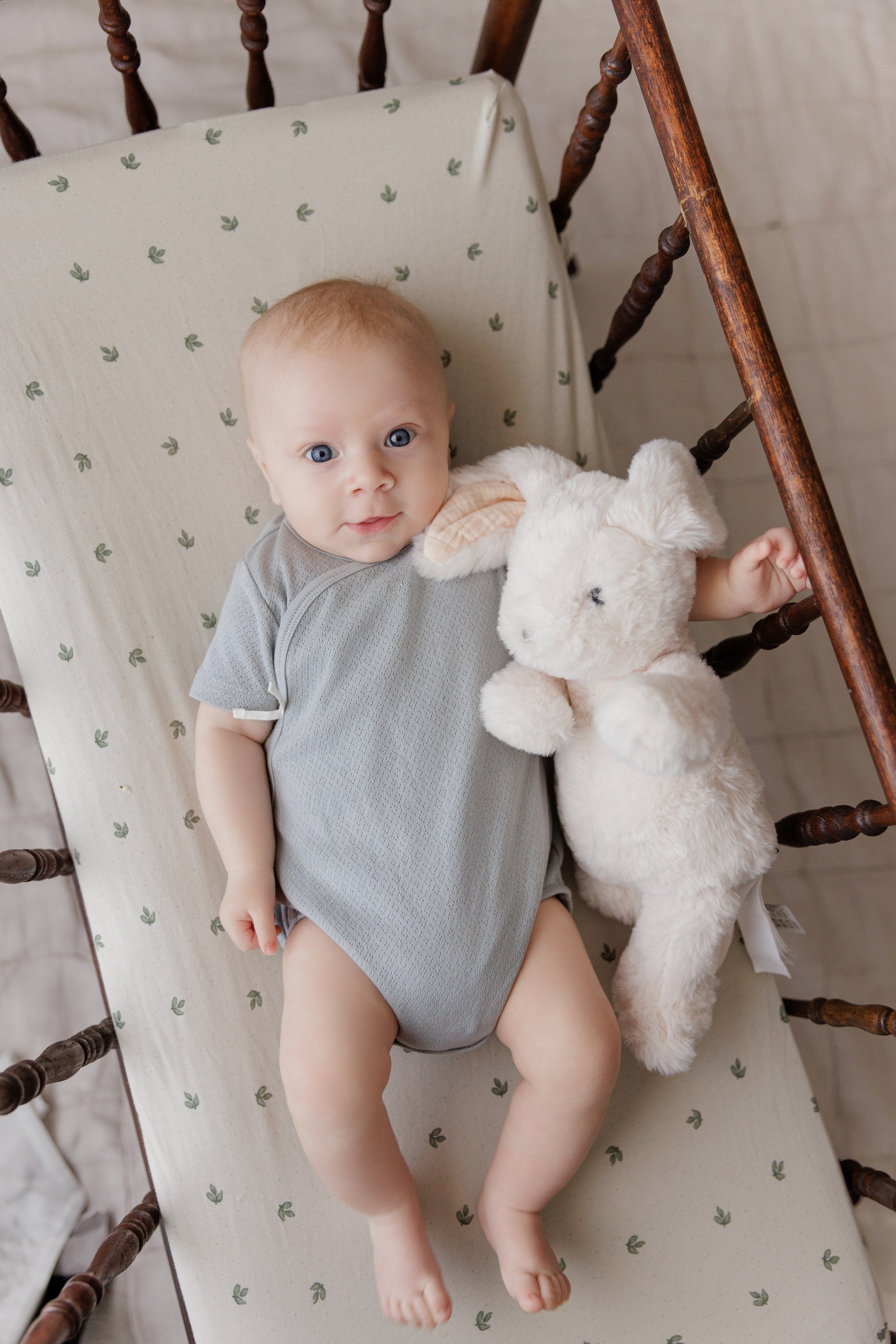 Organic Cotton Amore Pointelle Collection - Romper