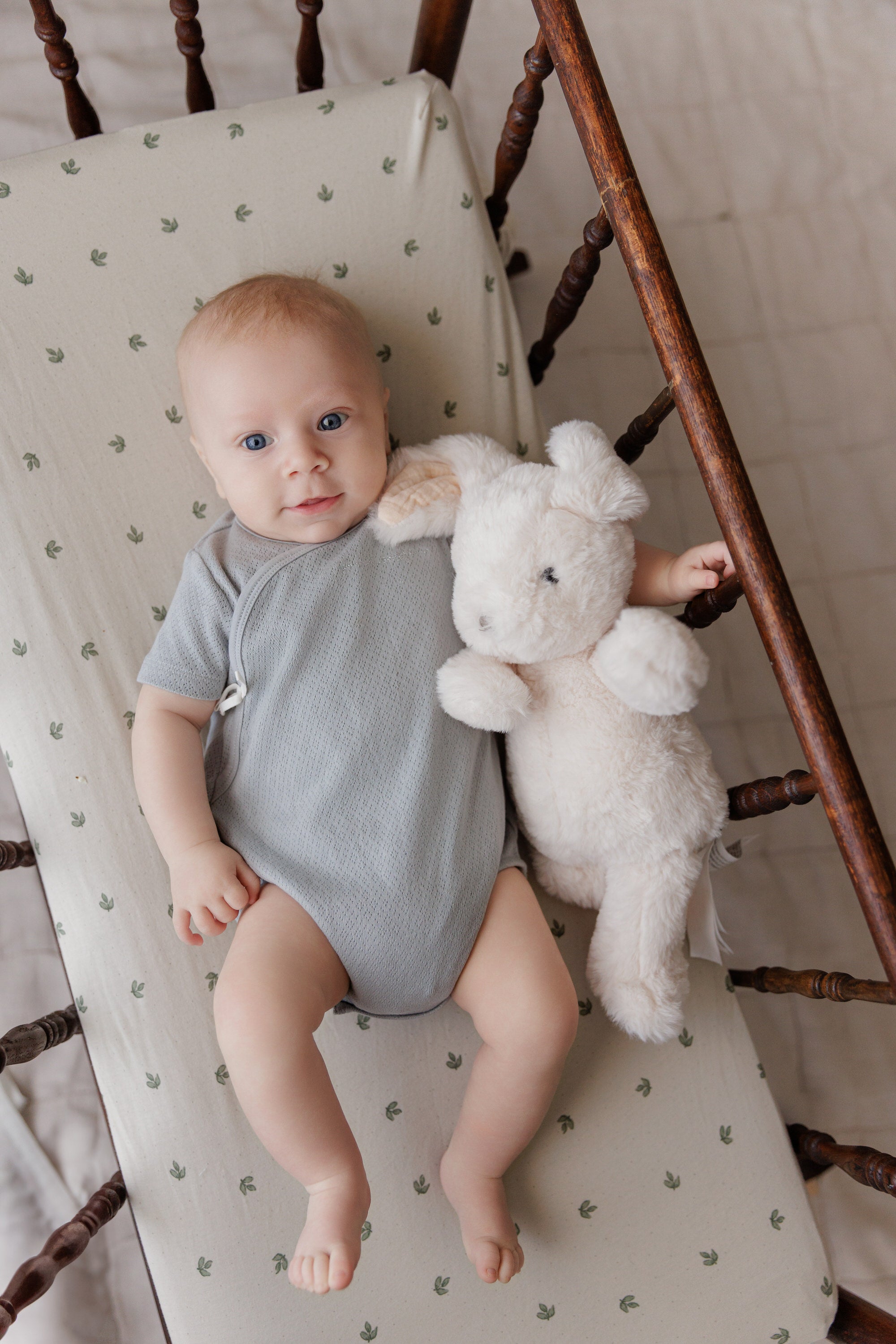 Organic Cotton Amore Pointelle Collection - Romper